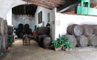 Bodegas con encanto «Faustino González»