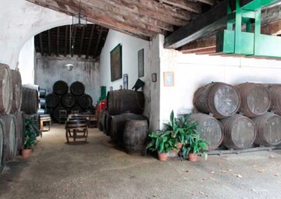 Bodegas con encanto «Faustino González»