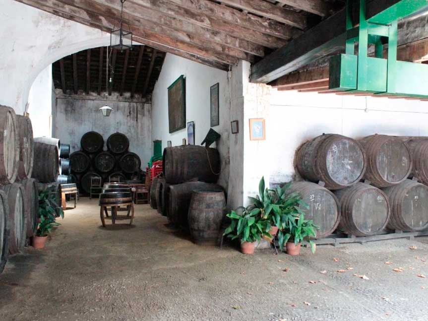 Bodegas Faustino González