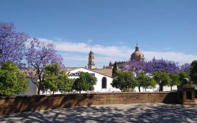 Experiencia «Jerez de Plaza en Plaza»