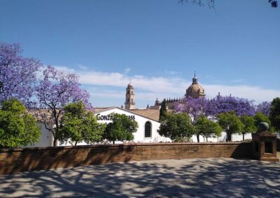 Experiencia «Jerez de Plaza en Plaza»